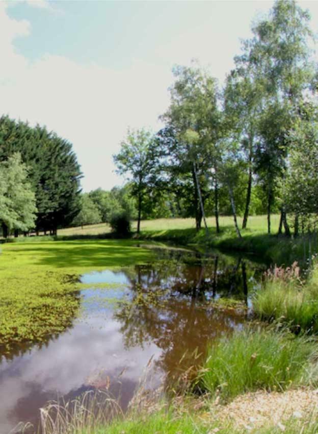 Saint-Paul-la-Roche Domaine Des Grandes Landes 빌라 외부 사진